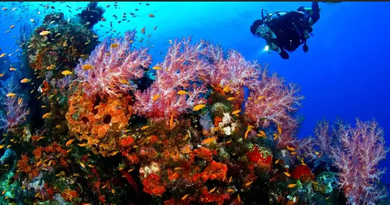 Antalya Dalış Turu